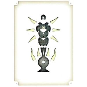 TATUYA ISHII CONCERT TOUR 2013 WHITE MOONLIGHT(完全生...