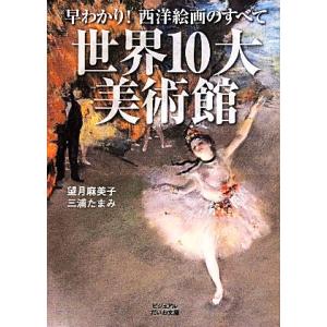 世界10大美術館 早わかり！西洋絵画のすべて ビジュアルだいわ文庫/望月麻美子(著者),三浦たまみ