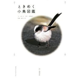 ときめく小鳥図鑑 Ｂｏｏｋ　ｆｏｒ　Ｄｉｓｃｏｖｅｒｙ／中村文(著者),吉野俊幸,樋口広芳