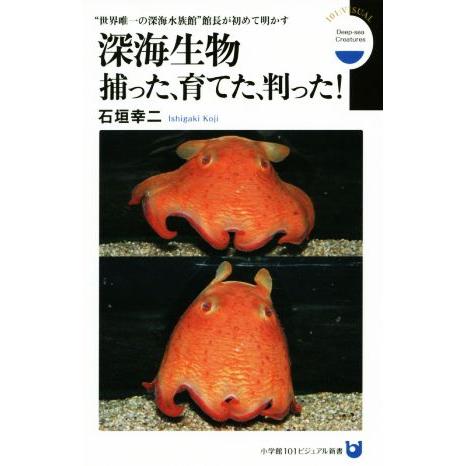 深海生物捕った、育てた、判った！　 “世界唯一の深海水族館”館長が初めて明かす 小学館１０１ビジュア...