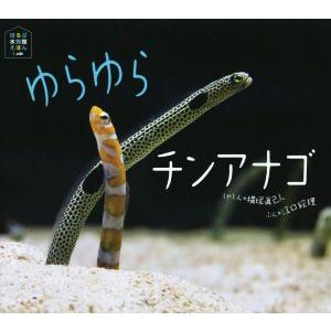 ゆらゆらチンアナゴ ほるぷ水族館えほん/江口絵理(著者),横塚眞己人