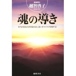 魂の導き 本当のあなたが目覚めると、思いがスイスイ実現する！/越智啓子(著者)