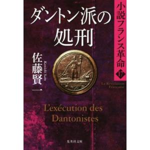 ダントン派の処刑 小説フランス革命 17 集英社...の商品画像