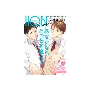 HQボーイフレンドトライアングル(vol.2.5...の商品画像