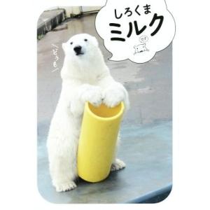 写真集 しろくまミルク／釧路動物園 (その他)の商品画像