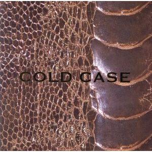 COLD CASE(LIMITED EDITION)(初回生産限定盤)(DVD付)/vistlip