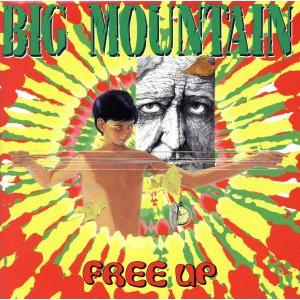 【輸入盤】Free Up/ビッグ・マウンテン