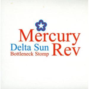 Delta Sun Bottleneck Stomp