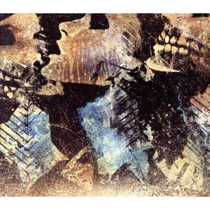 【輸入盤】Axe to Fall (Dig) (Eco)/コンヴァージ