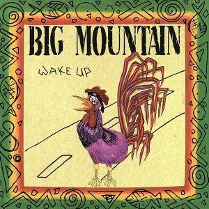 【輸入盤】Ｗａｋｅ　Ｕｐ／ビッグ・マウンテン｜bookoffonline