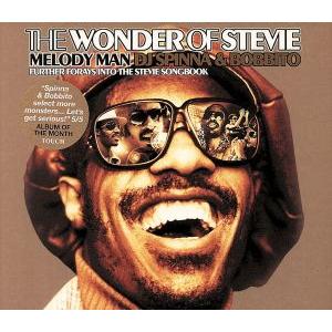 【輸入盤】Ｔｈｅ　Ｗｏｎｄｅｒ　ｏｆ　Ｓｔｅｖｉｅ／ＤＪスピナ＆ボビート