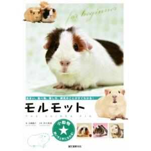 モルモット 住まい、食べ物、接し方、病気のことがすぐわかる！