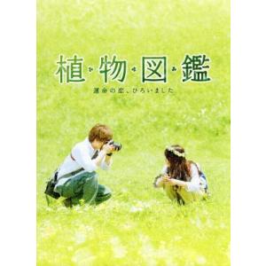 典子は、今/松山善三(監督、脚本),辻典子,渡辺美佐子 : ブックオフ2