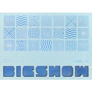 【輸入盤】2010 BIGBANG LIVE CONCERT BIGSHOW VOL.5/BIGBANG　