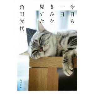 今日も一日きみを見てた 角川文庫／角田光代(著者)