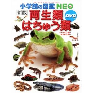 両生類・はちゅう類 新版 小学館の図鑑NEO/松井正文,疋田努