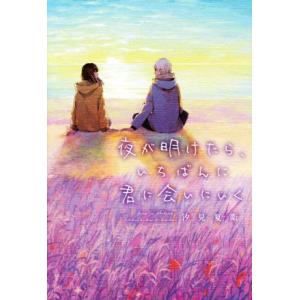 夜が明けたら、いちばんに君に会いにいく/汐見夏衛(著者)