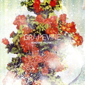 ROADSIDE PROPHET(20th Anniversary Limited Edition)...