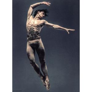 ダンサー、セルゲイ・ポルーニン 世界一優雅な野獣(初回生産限定版)(Blu-ray Disc)/(ド...