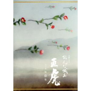 おんな城主　直虎　完全版　第参集（Ｂｌｕ−ｒａｙ　Ｄｉｓｃ）／柴咲コウ,高橋一生,柳楽優弥,菅野よう...