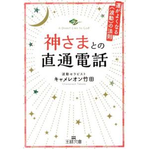 神さまとの直通電話 運がよくなる《波動》の法則 王様文庫／キャメレオン竹田(著者)