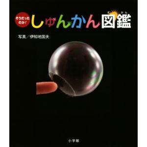 そうだったのか！しゅんかん図鑑/伊知地国夫