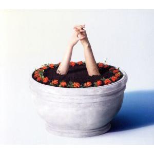 マリーゴールド/あいみょん