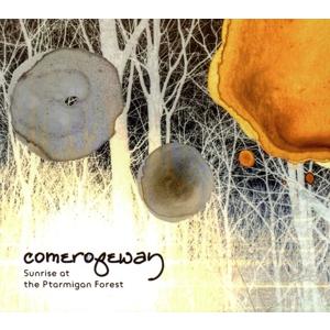 Sunrise at the Ptarmigan Forest/comeropeway　