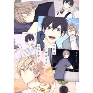 それを恋と呼ばずになんと言う カルトC equalコレクション/壱あらた(著者)