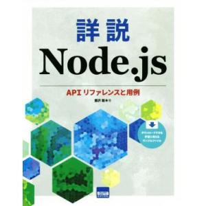 詳説 Node.js APIリファレンスと用例/豊沢聡(著者)　