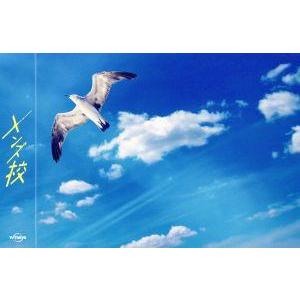 メンズ校 Blu-ray BOX(Blu-ray Disc)/なにわ男子,関西ジャニーズJr.,西畑大吾,大西流星,道枝駿