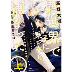異世界で調子に乗ったら捕まった(上) Ruby collection/嘉野六鴉(著者),香坂あきほ(...