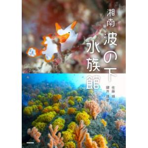 湘南　波の下水族館／佐藤輝(著者),鍵井靖章(著者)