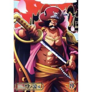 ONE PIECE ワンピース 20THシーズン ワノ国編 piece.19/尾田栄一郎(原作),田...