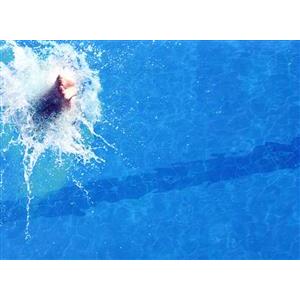 DIVE!! DVD-BOX/井上瑞稀,高橋優斗,作間龍斗,馬場ふみか,望月歩,佐久本宝,前田旺志郎...