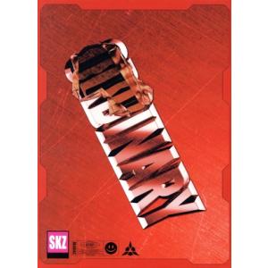 【輸入盤】ODDINARY/Stray Kids