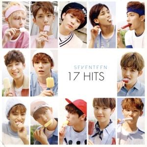 【輸入盤】17 Hits(台湾独占盤)(CD+DVD)/SEVENTEEN