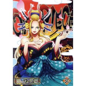 ONE PIECE ワンピース 20THシーズン ワノ国編 piece.30/尾田栄一郎(原作),田...