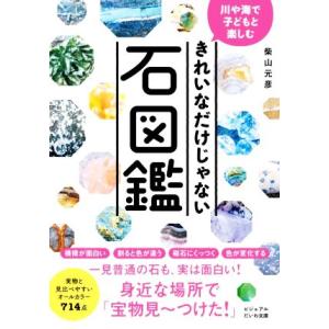 きれいなだけじゃない石図鑑 川や海で子どもと楽しむ ビジュアルだいわ文庫/柴山元彦(著者)