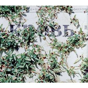 Official髭男dism one-man tour 2021-2022 -Editorial-(...