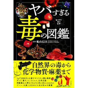 河合塾 高校グリーンコース 共通テスト対策政治・経済 演習 テキスト