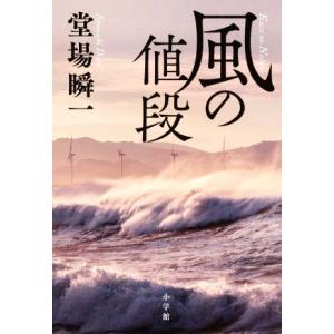 風の値段/堂場瞬一(著者)