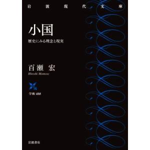 小国 歴史にみる理念と現実 岩波現代文庫　学術４５８／百瀬宏(著者)