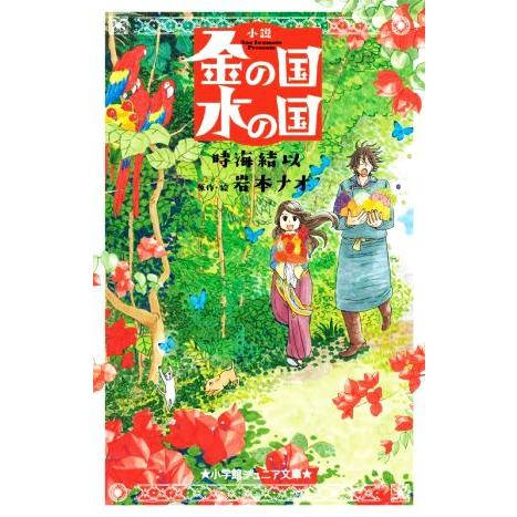 小説　金の国　水の国 小学館ジュニア文庫／時海結以(著者),岩本ナオ