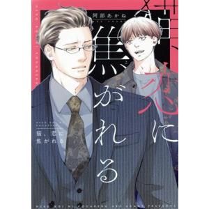 猫、恋に焦がれる ディアプラスC/阿部あかね(著者)