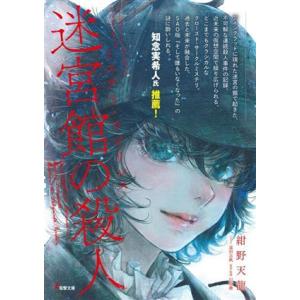 ソードアート・オンライン オルタナティブ ミステリ・ラビリンス 迷宮館の殺人 電撃文庫/紺野天龍(