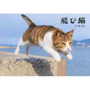 飛び猫 / 五十嵐　健太　著