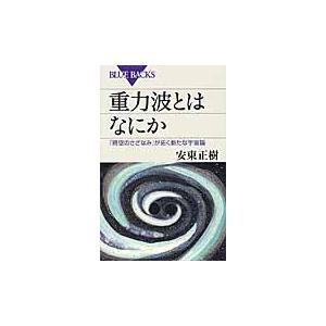 重力波とはなにか　「時空のさざなみ」が拓く新たな宇宙論 / 安東　正樹　著