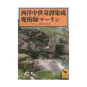 西洋中世奇譚集成　魔術師マーリン / Ｒ．Ｄ．ボロン　著