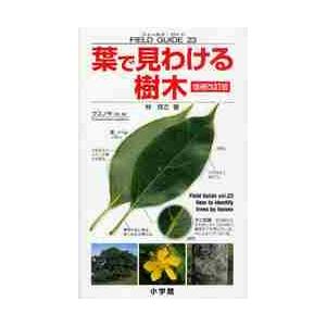 葉で見わける樹木　増補改訂版 / 林　将之　著｜books-ogaki